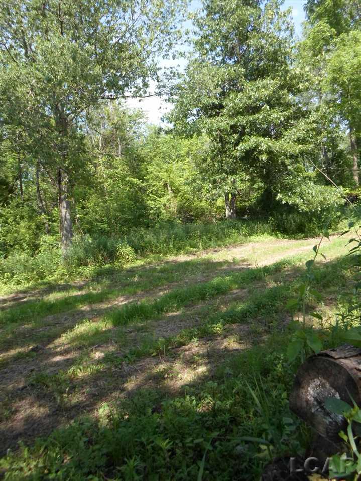 12000 Stephenson Road, Unit PARCEL A Brooklyn, MI 49230 - Photo 23 of 49