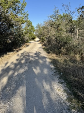 3035 County Road 255 Georgetown, TX 78633 - Photo 19 of 23 a view of a yard with a tree