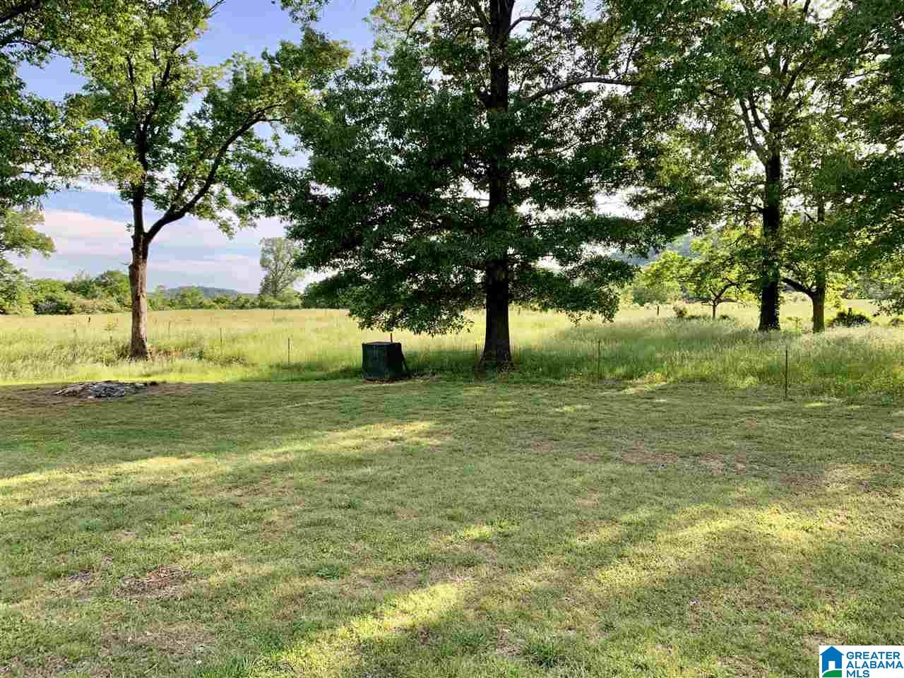 3391 Hinds Road Blountsville, AL 35031 - Photo 9 of 45