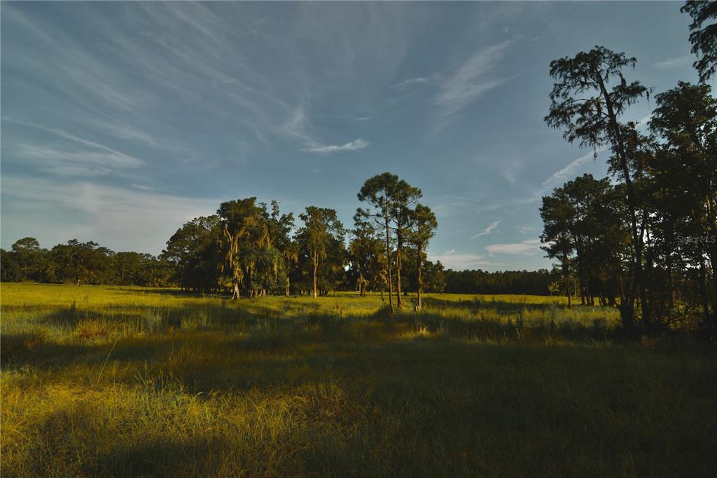4802 Northwest 50th Road Starke, FL 32091 - Photo 69 of 75 Gallery Image 69