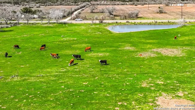 a view of an outdoor space