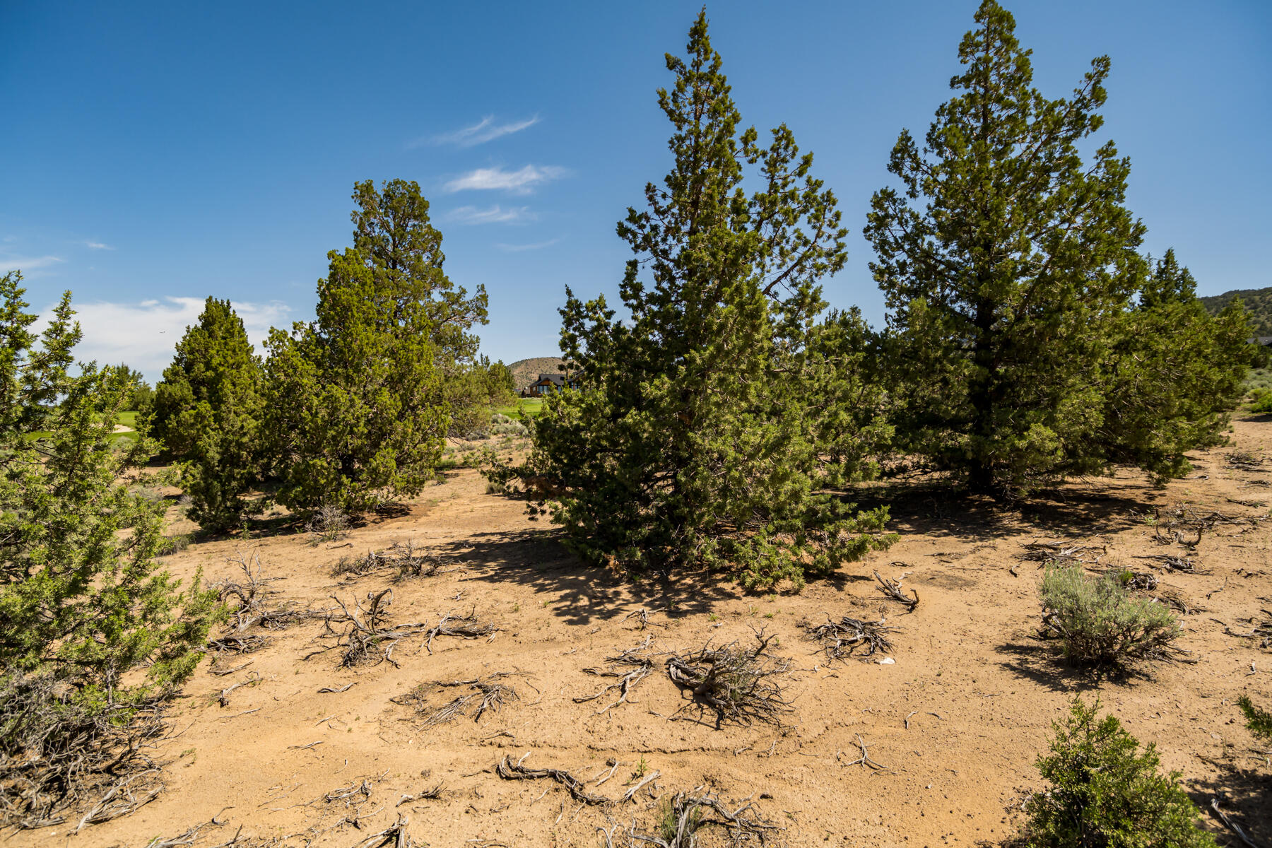 Lot 81 Southwest Brasada Ranch Road Powell Butte, OR 97753 - Photo 10 of 22 JH5_0528