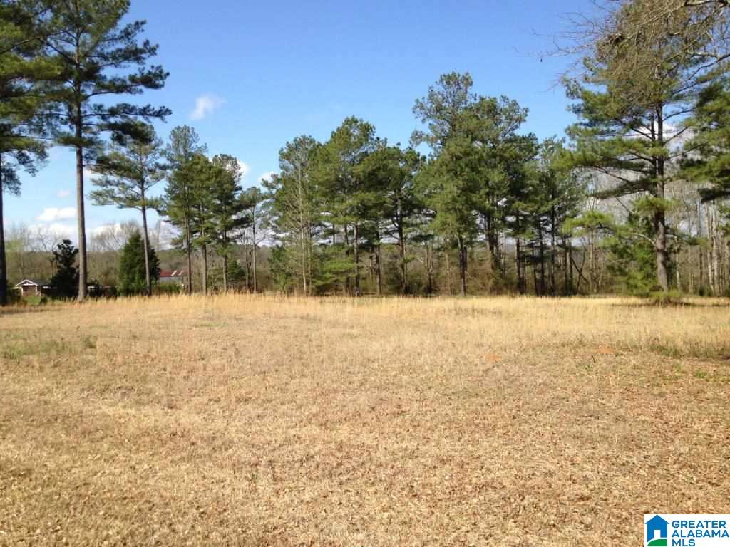 870 Beaver Ridge Drive, Unit 1 Ashville, AL 35953 - Photo 2 of 4