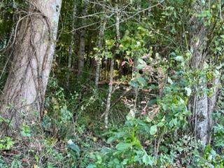 0 Northridge Road Abingdon, VA 24210 - Photo 7 of 8 Gallery Image 7