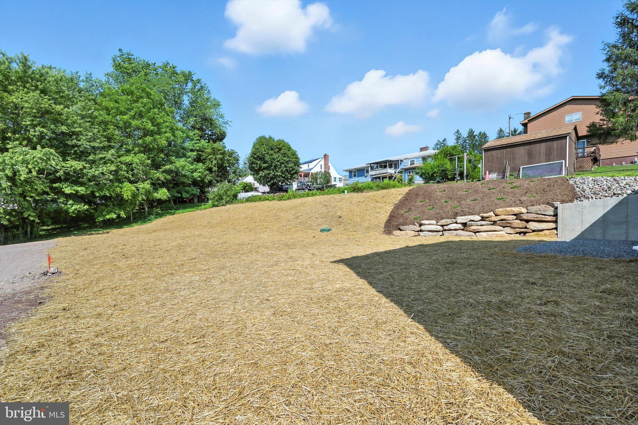 57 Ardmore Avenue Tamaqua, PA 18252 - Photo 29 of 34 a view of outdoor space yard and mountain view