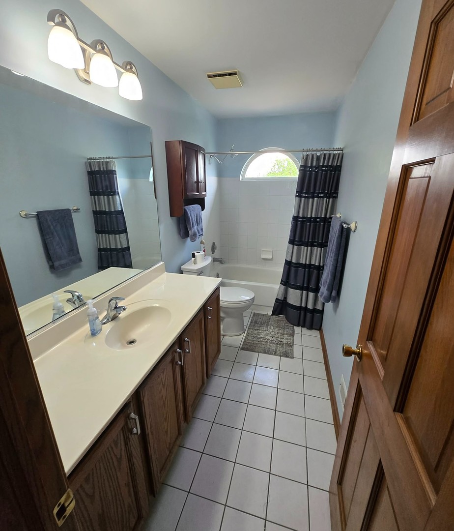 8141 Old Mill Road Frankfort, IL 60423 - Photo 29 of 39 a bathroom with a sink a toilet a mirror and shower