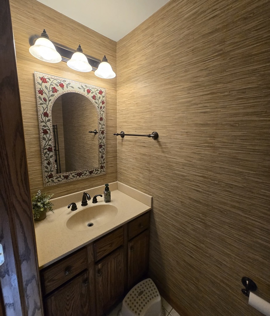 8141 Old Mill Road Frankfort, IL 60423 - Photo 8 of 39 a bathroom with a sink a toilet and mirror