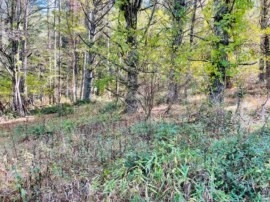 Tbd Wildcat Road Hillsville, VA 24343 - Photo 14 of 20 Gallery Image 14