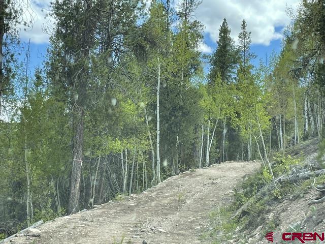 1675 Chicago Park Road Pitkin, CO 81241 - Photo 7 of 9