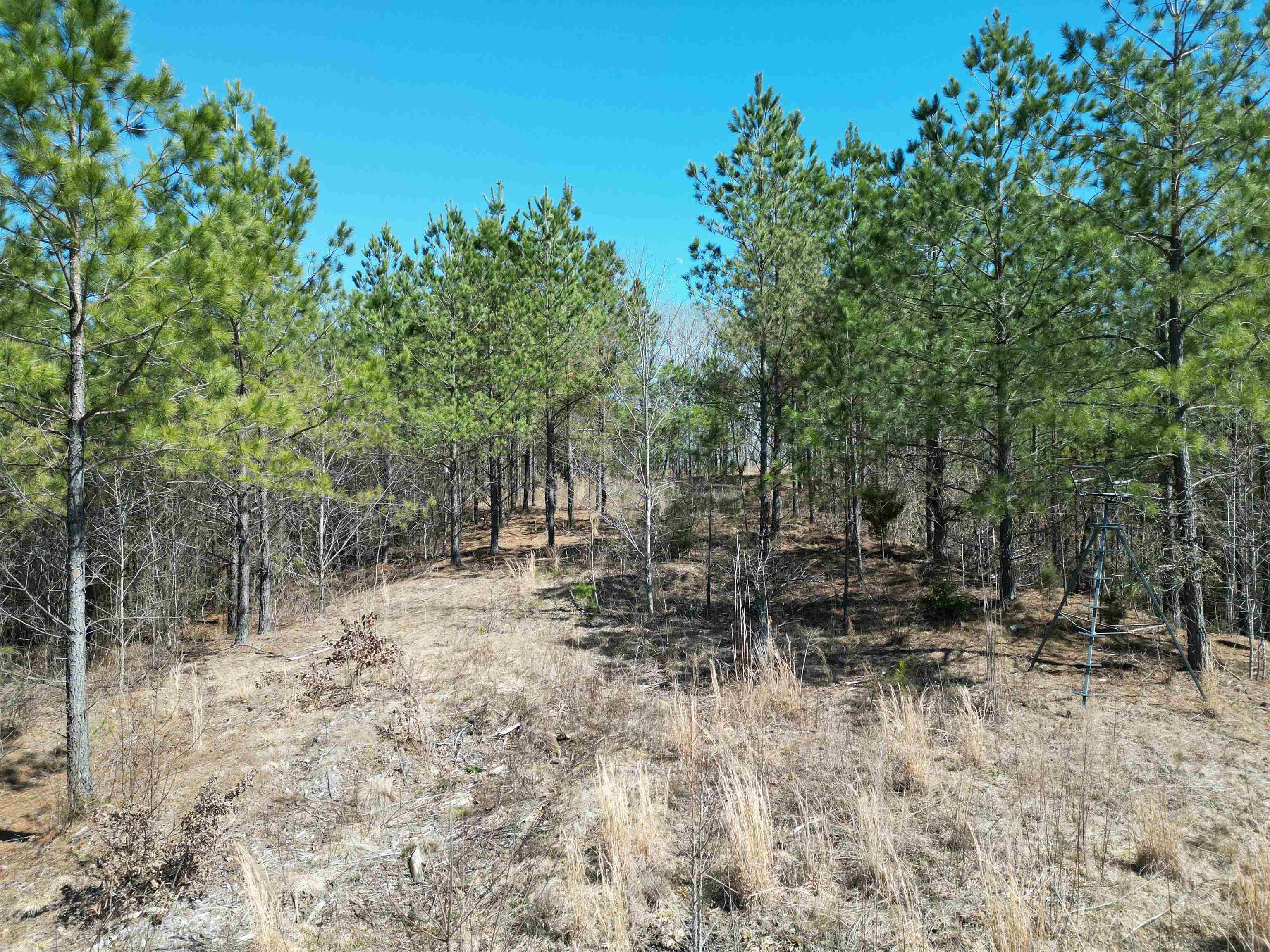 20 King Road Medon, TN 38356 - Photo 8 of 17 View of landscape