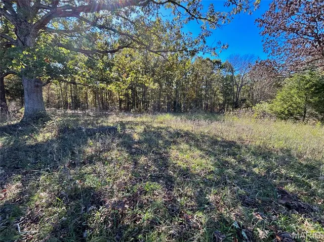 $121,000 | 5 County Road 4215, Salem, MO 65560