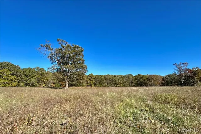 $121,000 | 5 County Road 4215, Salem, MO 65560