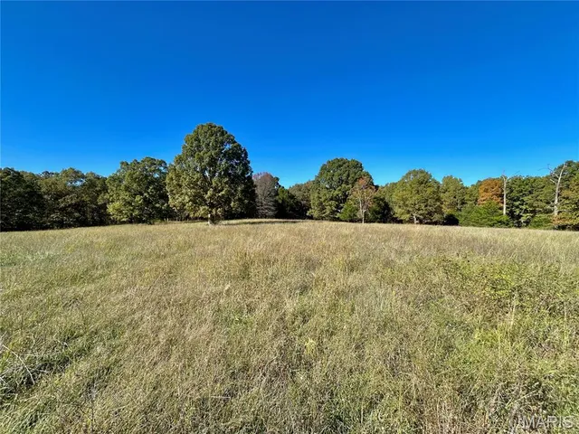 $121,000 | 5 County Road 4215, Salem, MO 65560