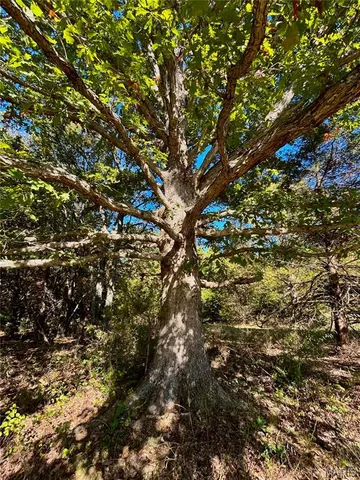 $121,000 | 5 County Road 4215, Salem, MO 65560