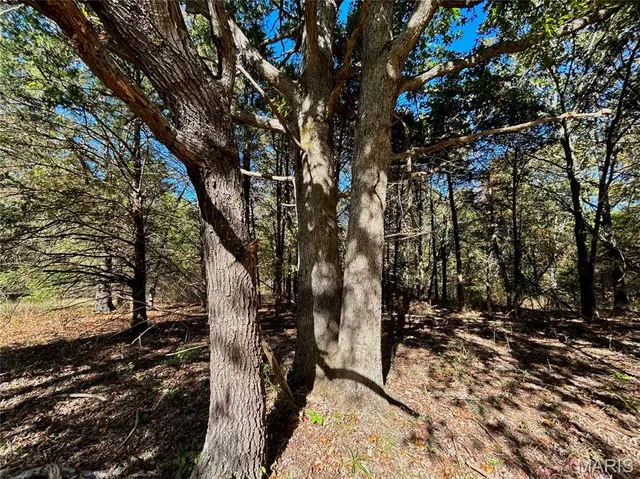 $121,000 | 5 County Road 4215, Salem, MO 65560