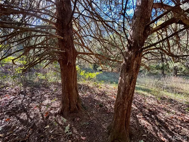 $121,000 | 5 County Road 4215, Salem, MO 65560