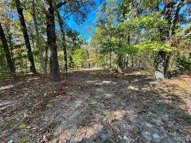 $121,000 | 5 County Road 4215, Salem, MO 65560