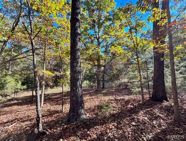 $121,000 | 5 County Road 4215, Salem, MO 65560