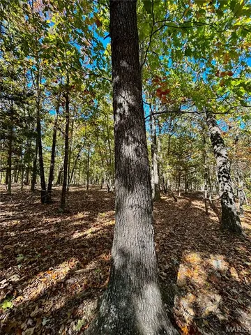 $121,000 | 5 County Road 4215, Salem, MO 65560