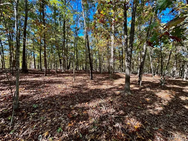 $121,000 | 5 County Road 4215, Salem, MO 65560