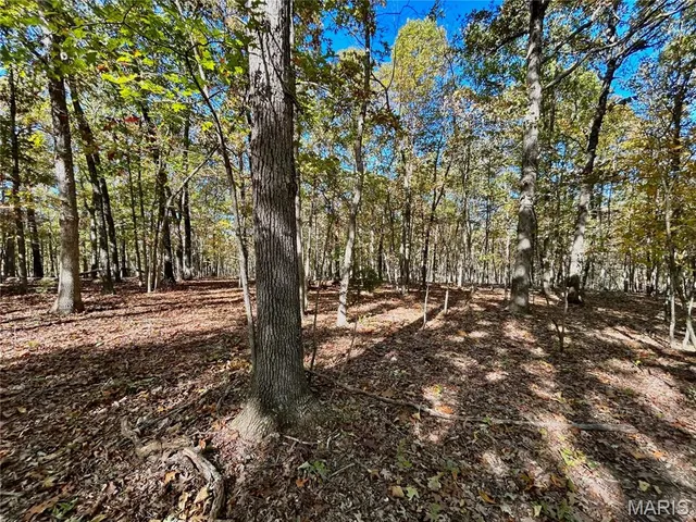 $121,000 | 5 County Road 4215, Salem, MO 65560