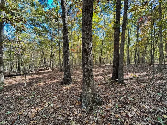 $121,000 | 5 County Road 4215, Salem, MO 65560