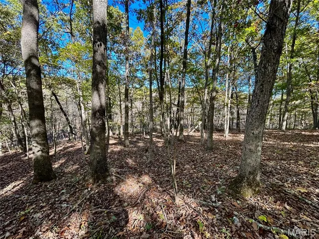 $121,000 | 5 County Road 4215, Salem, MO 65560