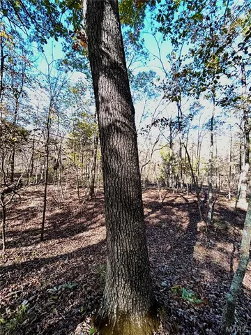 $121,000 | 5 County Road 4215, Salem, MO 65560