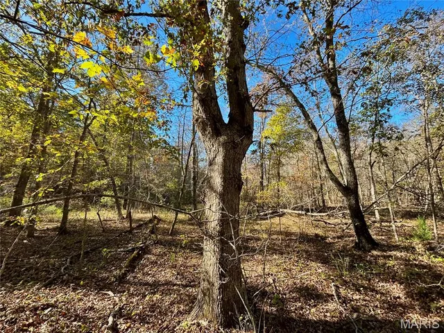 $121,000 | 5 County Road 4215, Salem, MO 65560