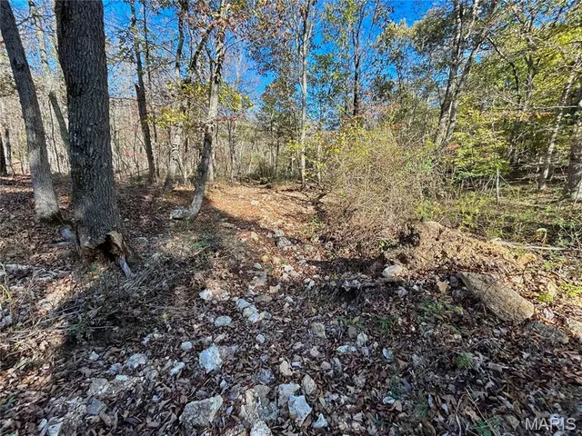 $121,000 | 5 County Road 4215, Salem, MO 65560