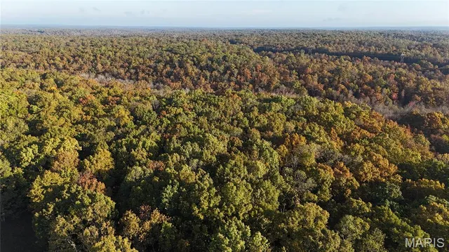 $121,000 | 5 County Road 4215, Salem, MO 65560