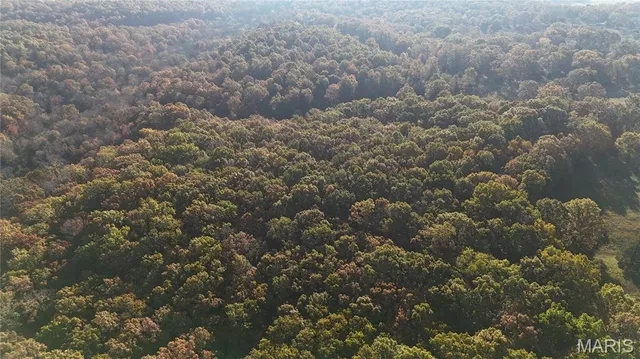 $121,000 | 5 County Road 4215, Salem, MO 65560