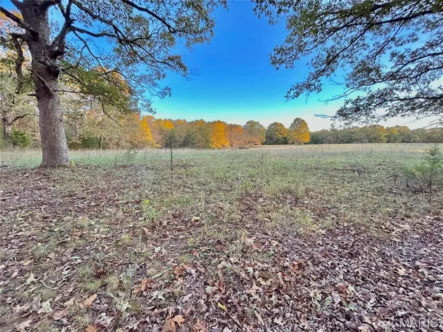 $121,000 | 5 County Road 4215, Salem, MO 65560