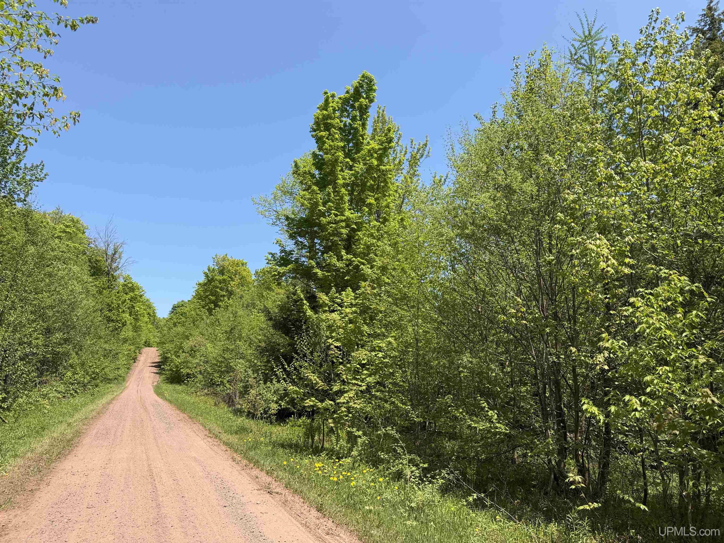 Off East Lake Road Ironwood, MI 49938 - Photo 17 of 30