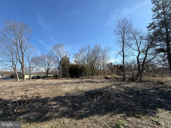 a view of dirt yard with a large tree