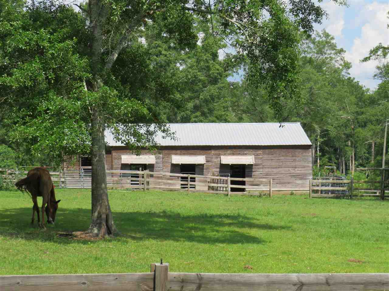 18550 Moore Road Andalusia, AL 36420 - Photo 20 of 34 Gallery Image 20