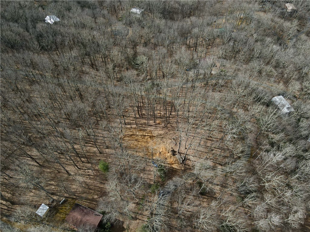 Old Chestnut Mountain Road Newland, NC 28657 - Photo 15 of 33