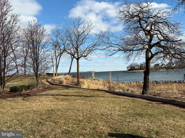 a view of a yard with an outdoor space