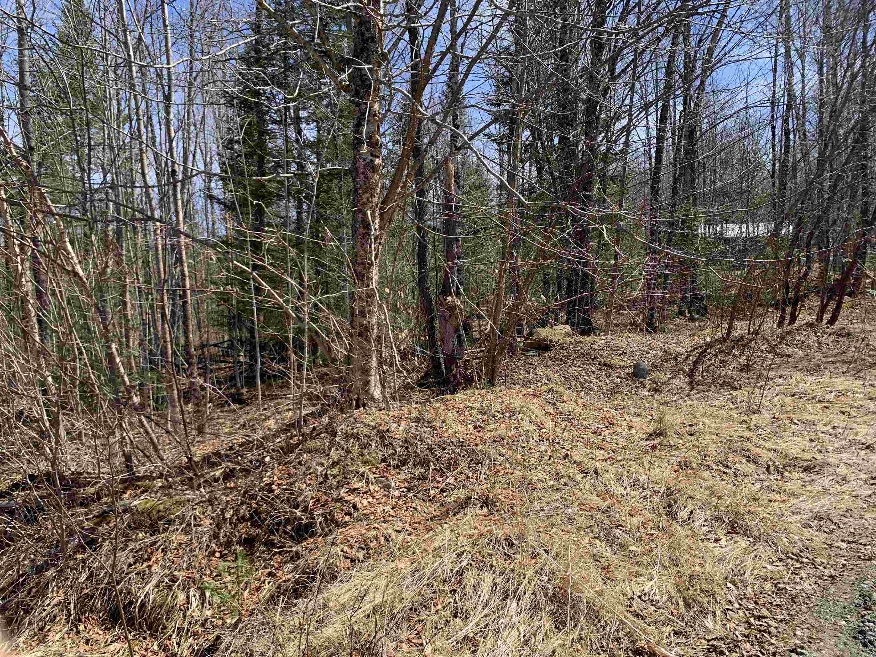 4 Washburn Road Columbia, NH 03590 - Photo 2 of 6