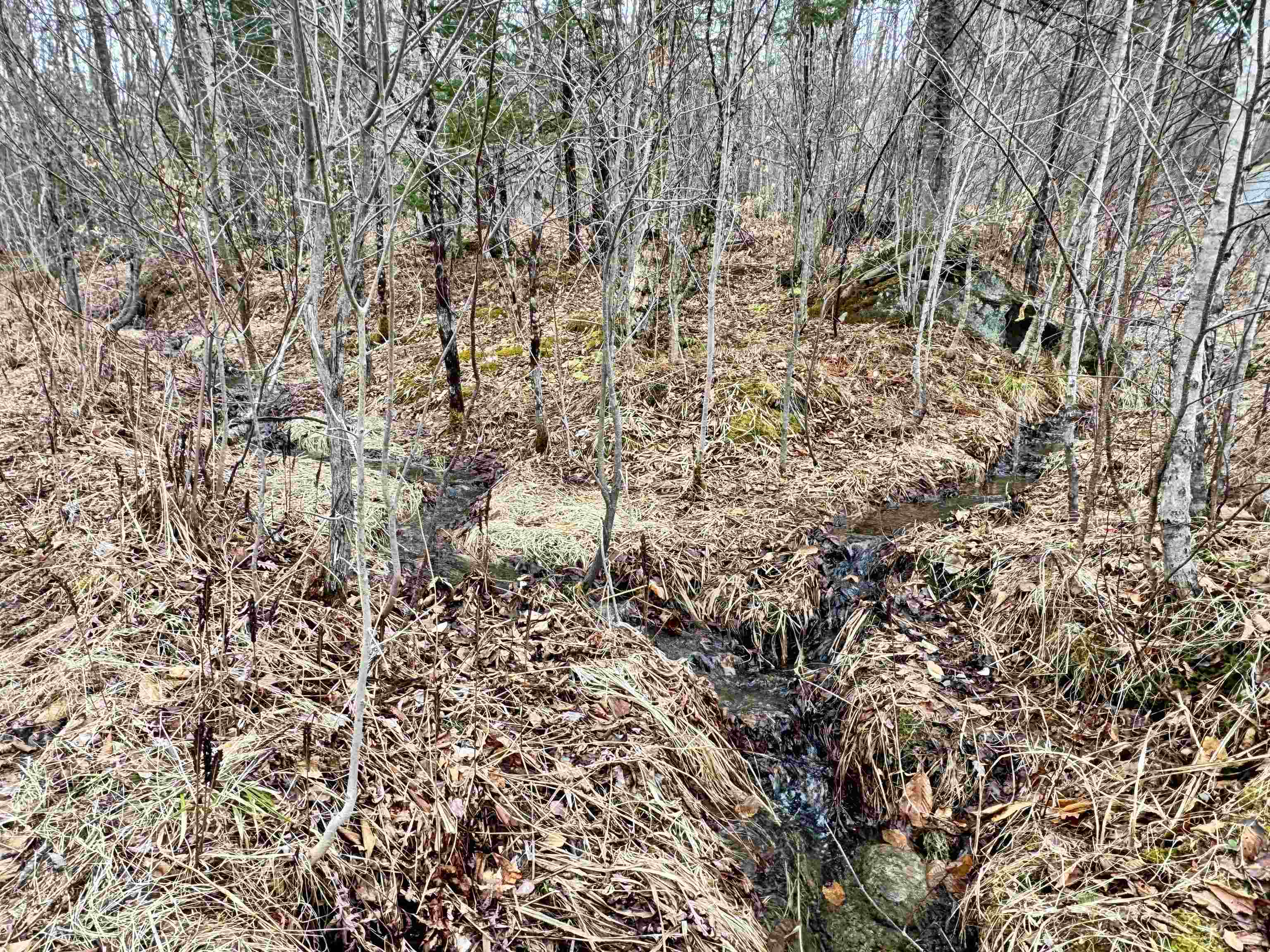4 Washburn Road Columbia, NH 03590 - Photo 5 of 6