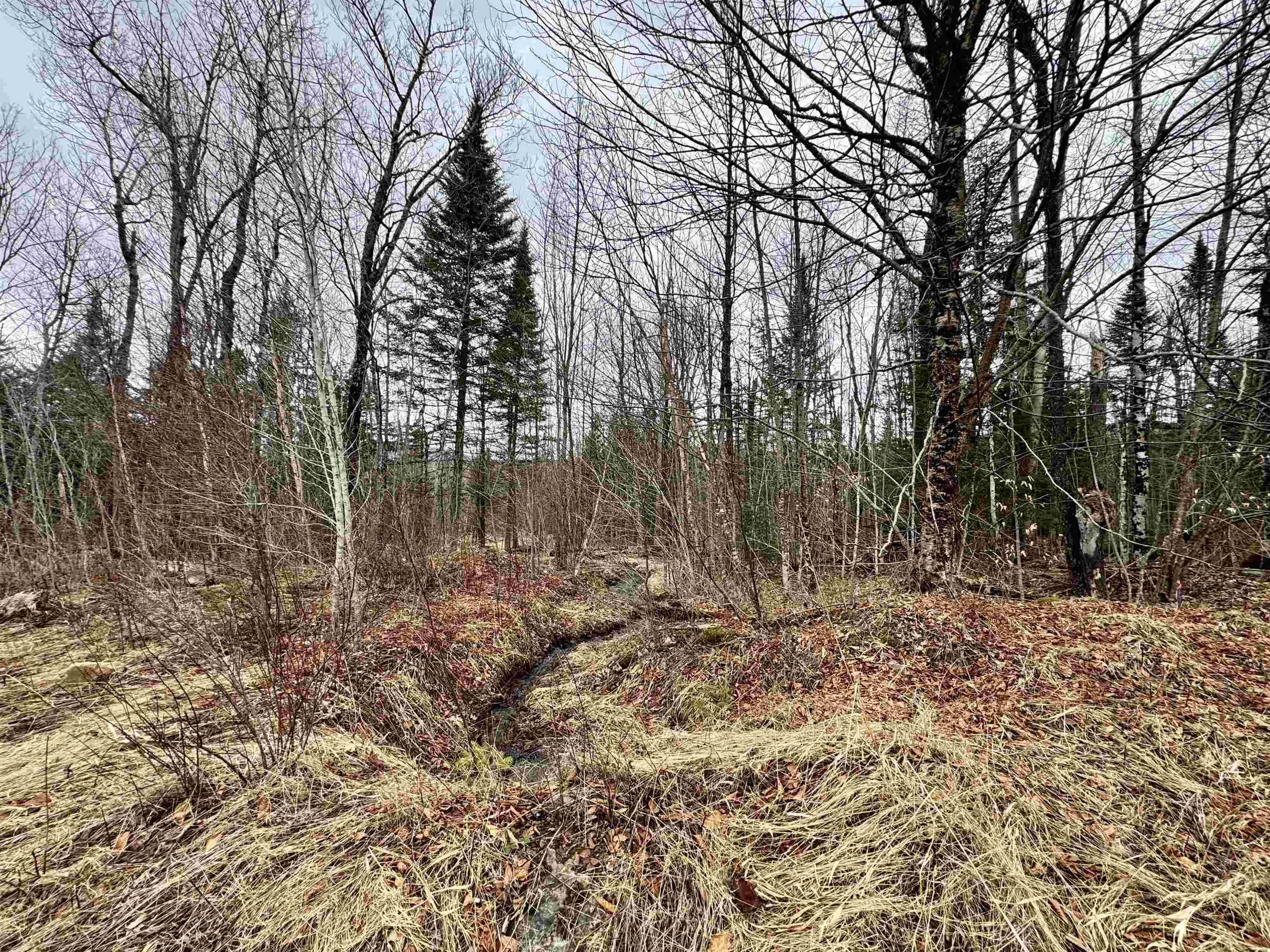 4 Washburn Road Columbia, NH 03590 - Photo 6 of 6