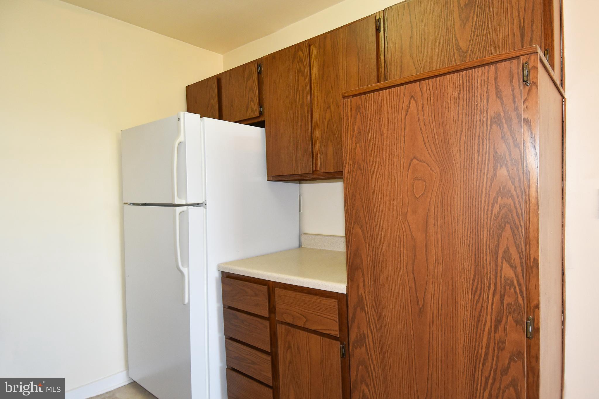 1200 South Arlington Ridge Road, Unit 703 Arlington, VA 22202 - Photo 17 of 38 Pantry in Kitchen