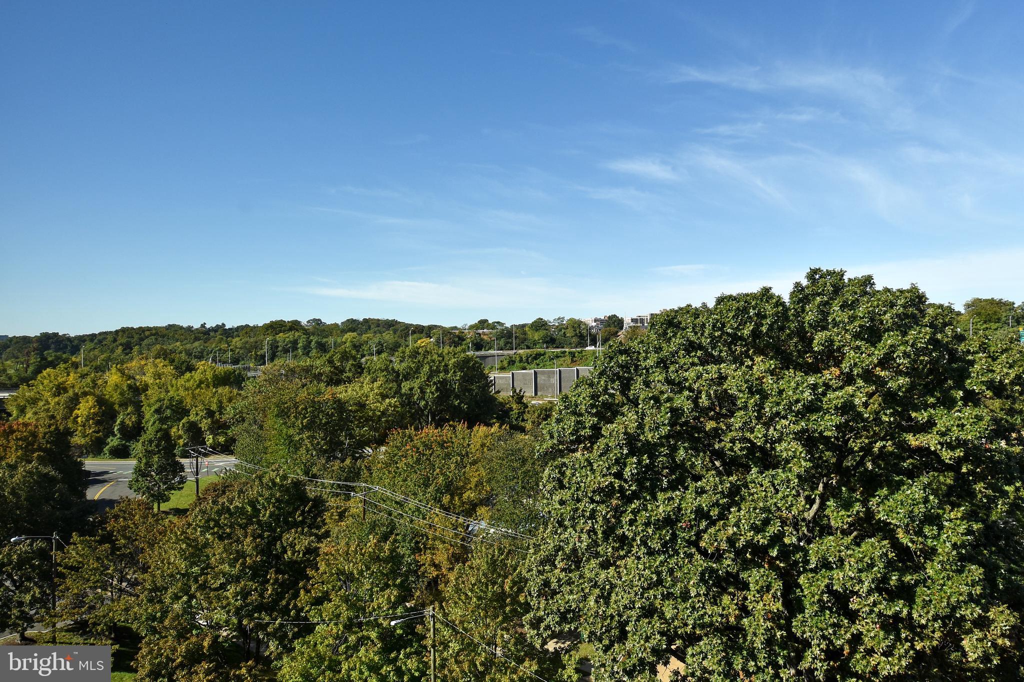 1200 South Arlington Ridge Road, Unit 703 Arlington, VA 22202 - Photo 18 of 38 Treed View