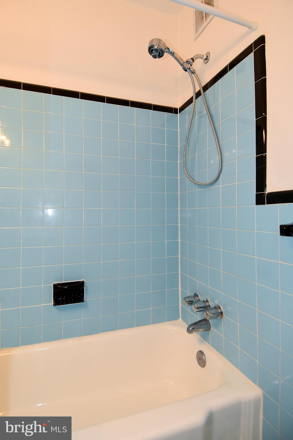 1200 South Arlington Ridge Road, Unit 703 Arlington, VA 22202 - Photo 26 of 38 Bathtub in Bathroom