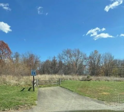 a view of a big yard
