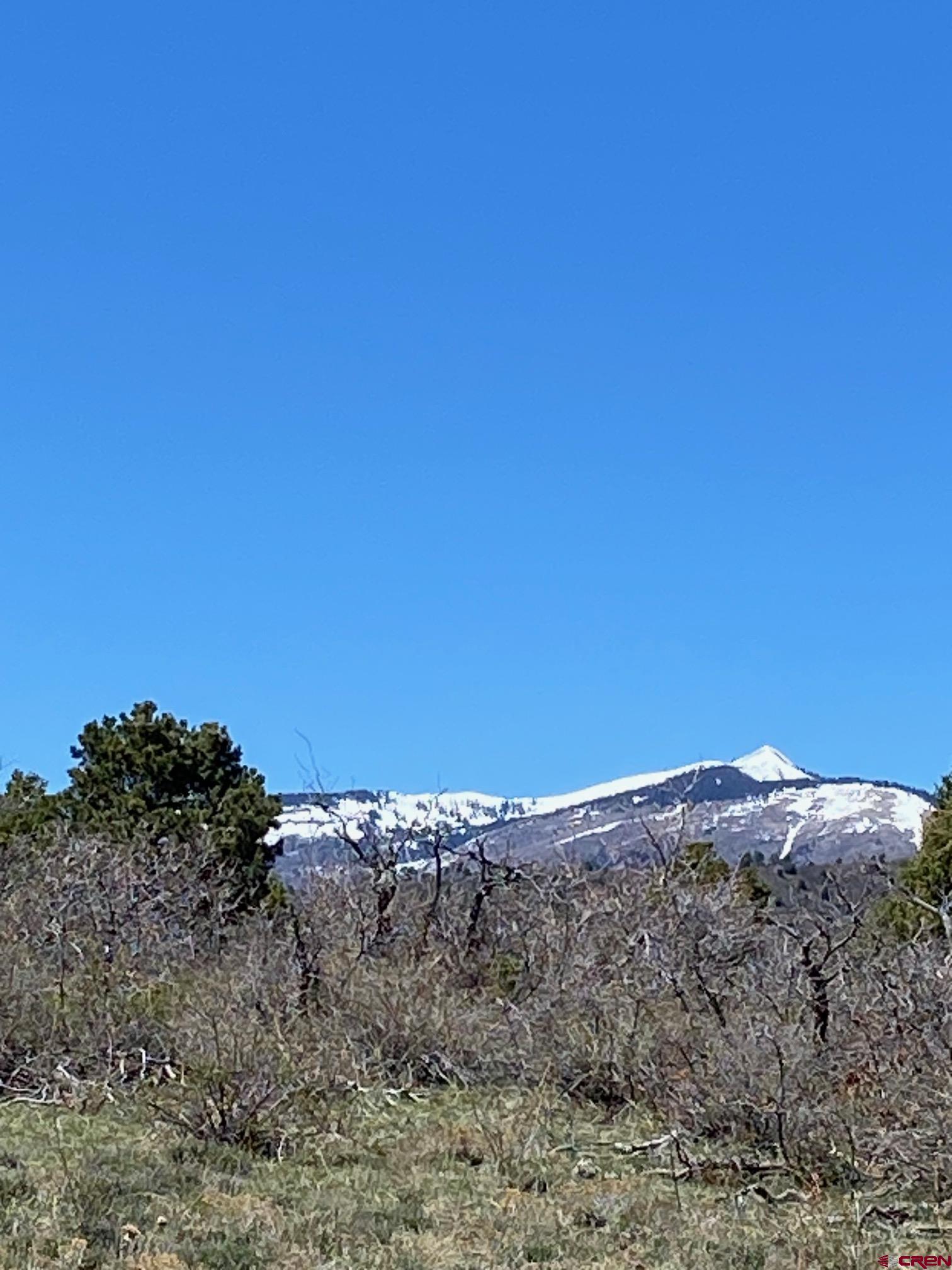 902 Roberts Ridge Drive Hesperus, CO 81326 - Photo 9 of 14 a view of a large building with a mountain in the background