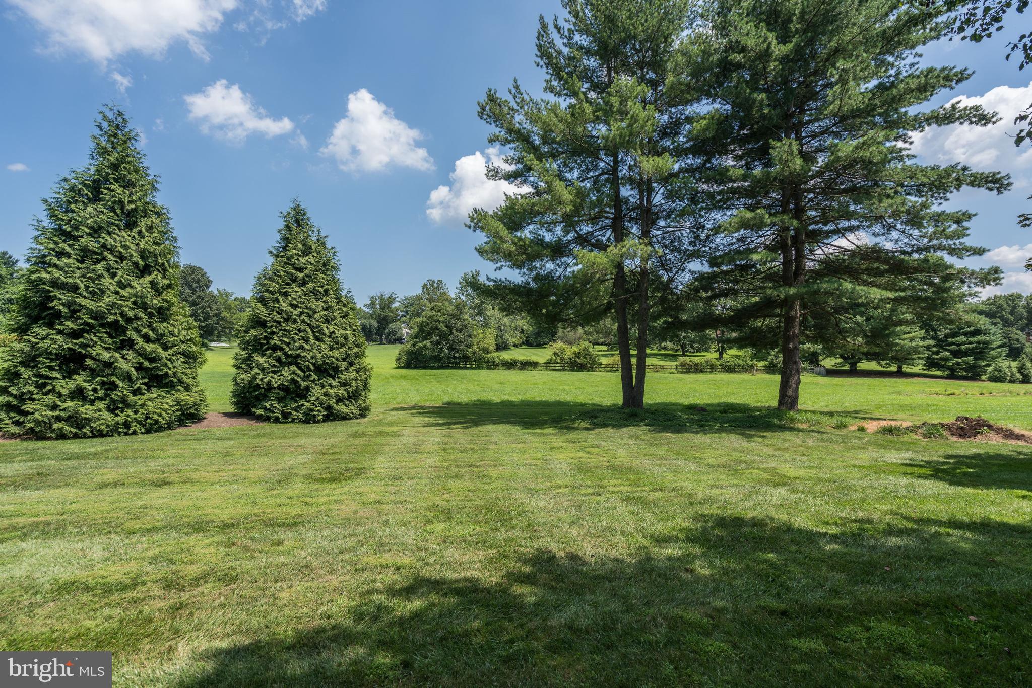 921 Riva Ridge Drive Great Falls, VA 22066 - Photo 2 of 44 20,000 sq ft lot backs to common area
