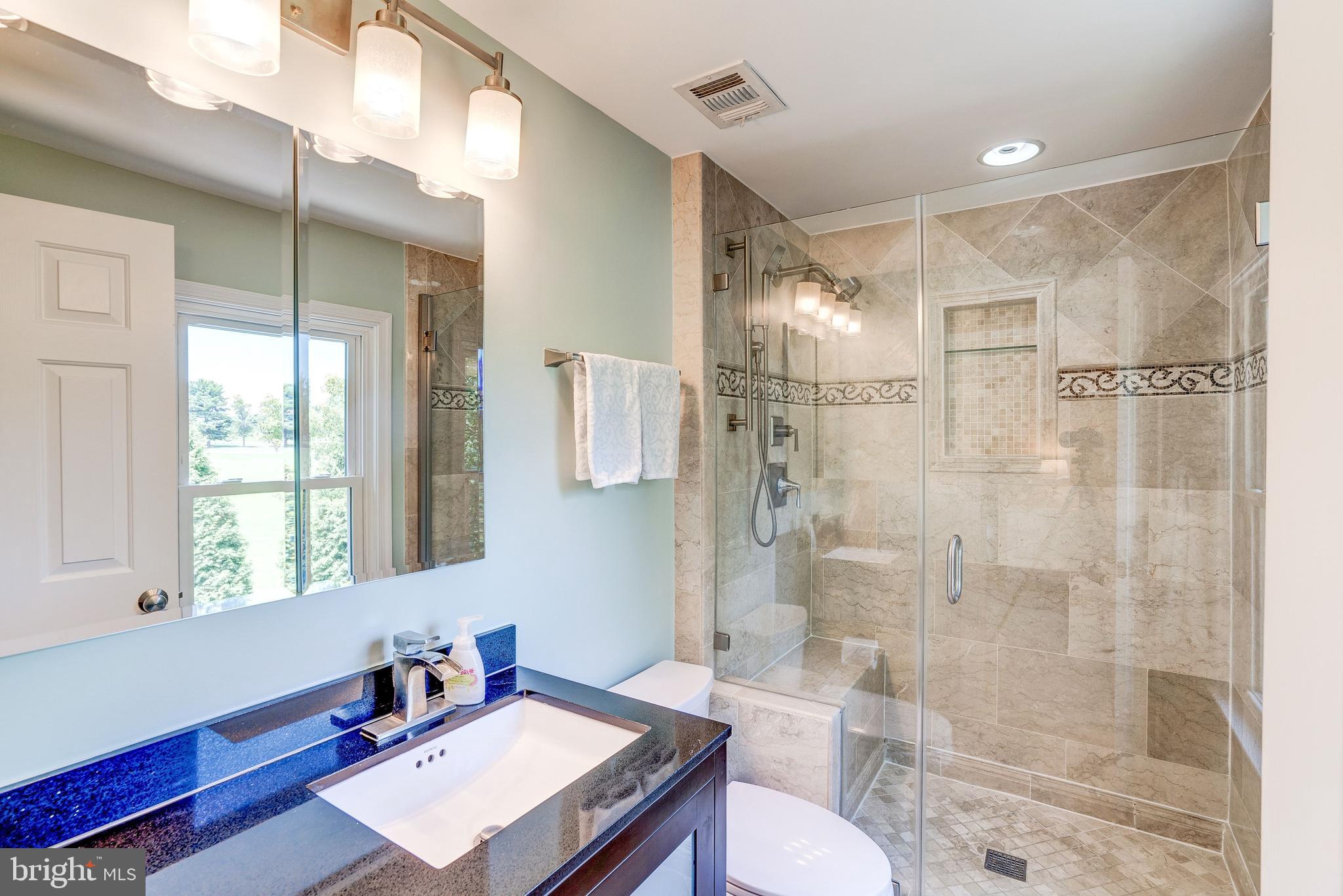 921 Riva Ridge Drive Great Falls, VA 22066 - Photo 26 of 44 renovated master bath with tile details