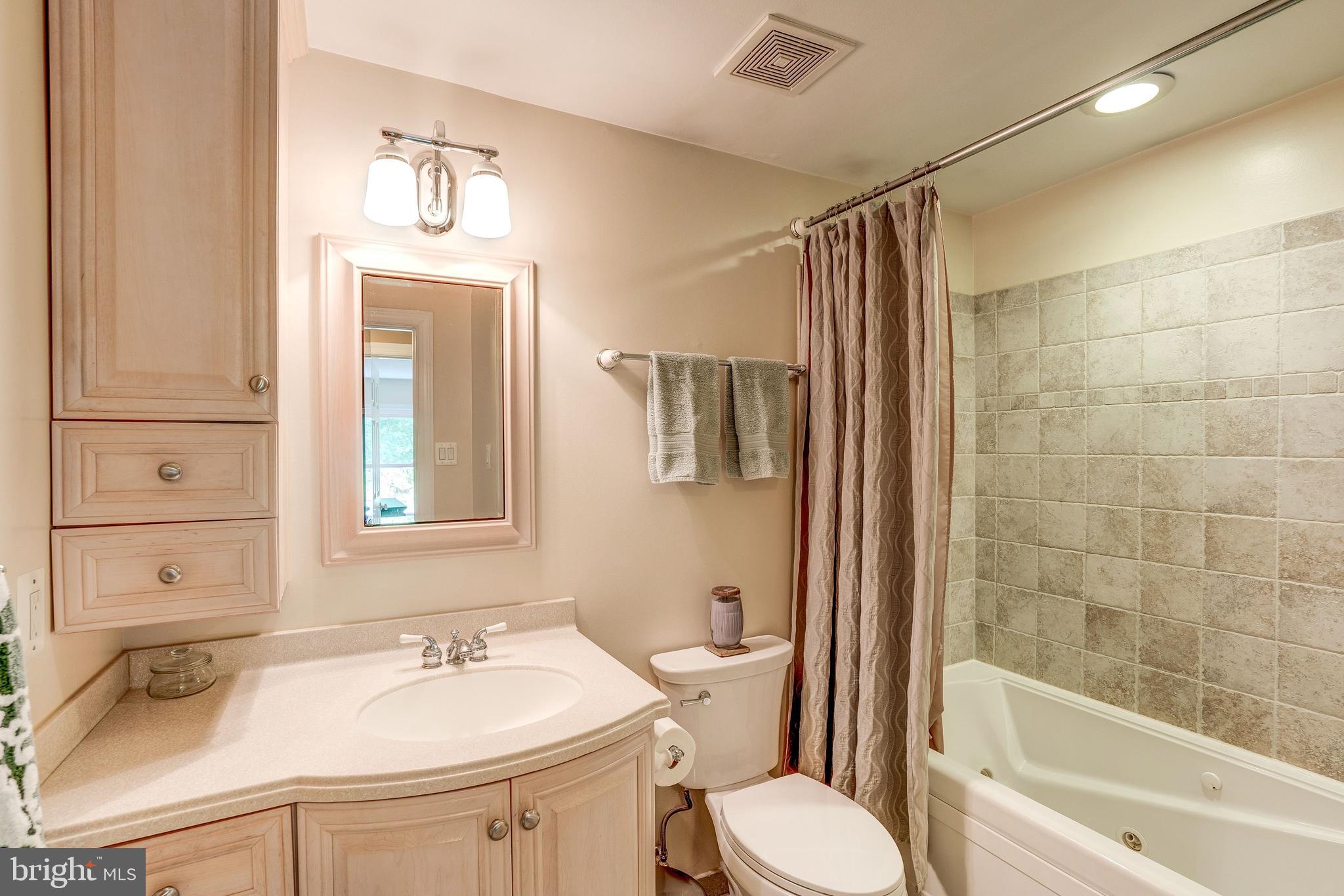 921 Riva Ridge Drive Great Falls, VA 22066 - Photo 32 of 44 stylishly renovated upstairs hall bathroom