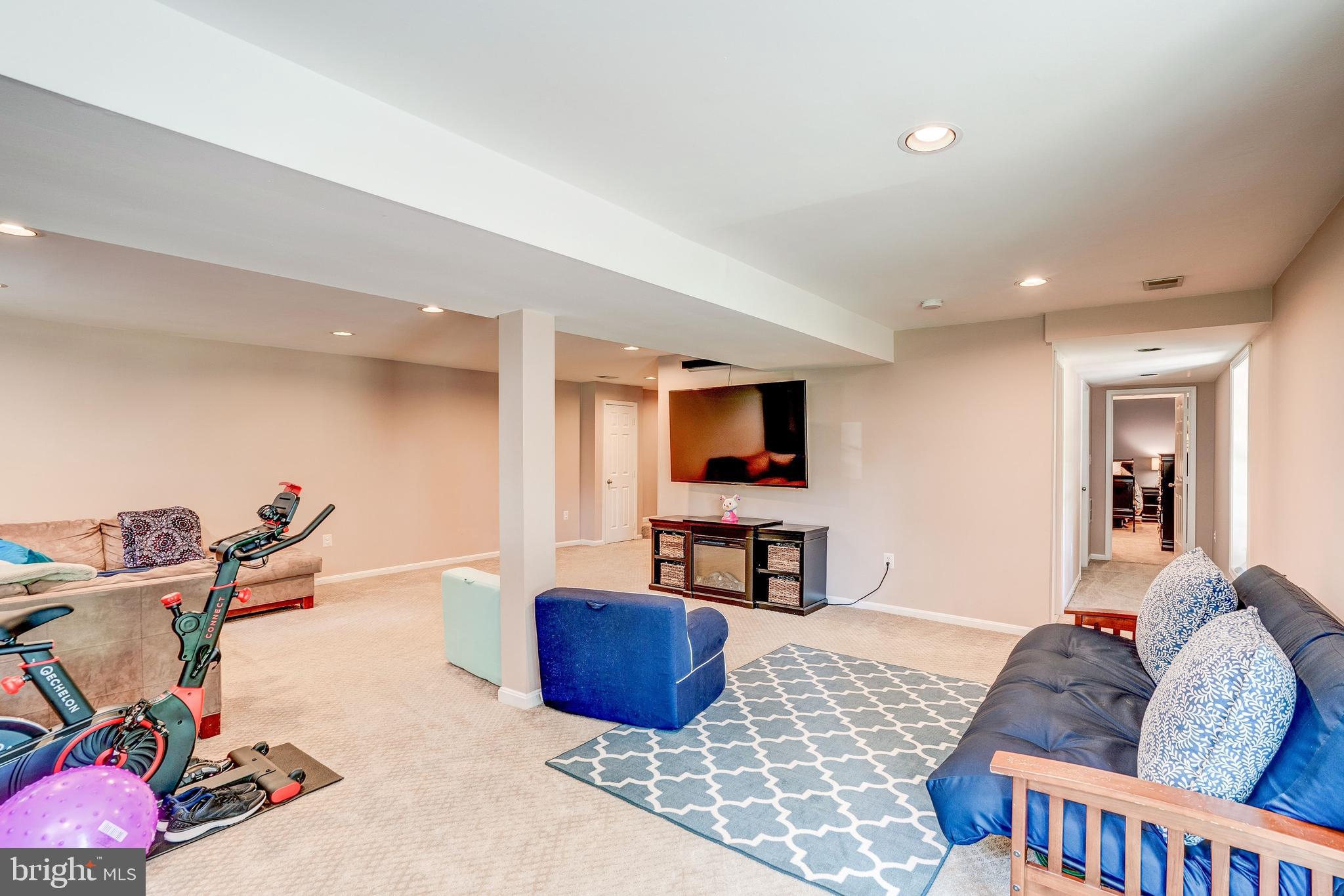 921 Riva Ridge Drive Great Falls, VA 22066 - Photo 38 of 44 several large storage areas off the rec room